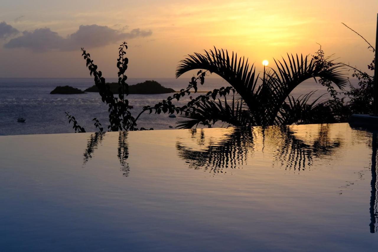 Sunset Palm - Villa Creole Avec Piscine Face Au Coucher De Soleil Et A La Reserve Cousteau Bouillante Εξωτερικό φωτογραφία
